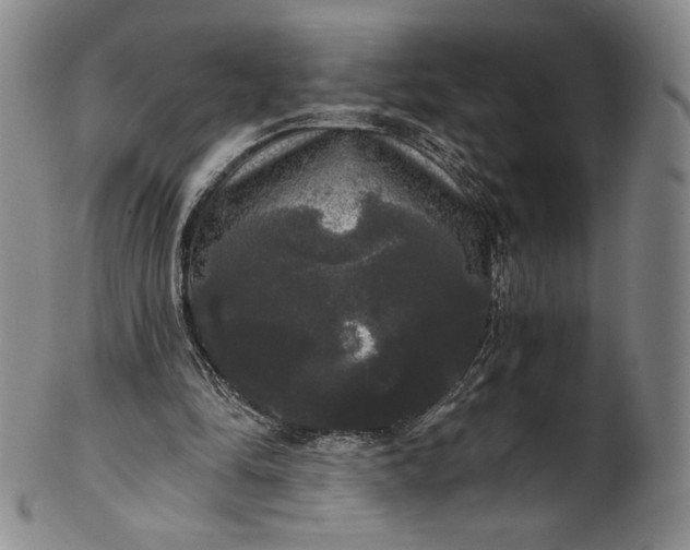 X0000102240294200808081442