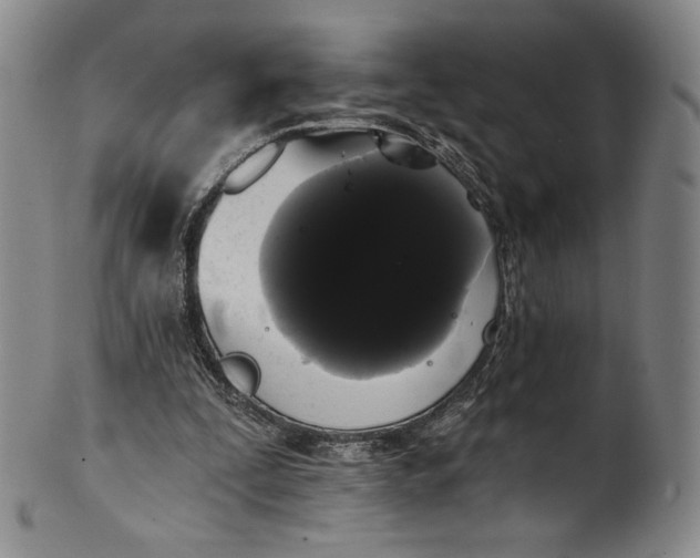 X0000102240295200808081442