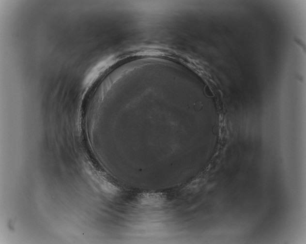 X0000102240296200808081442