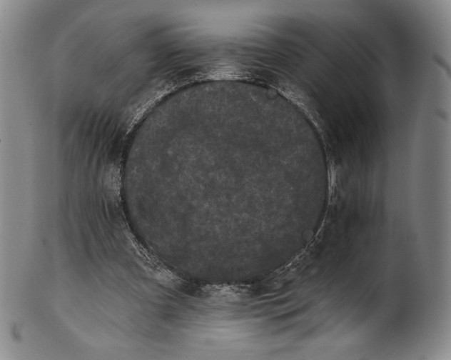 X0000102240297200808081442