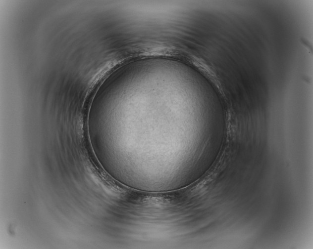 X0000102240298200808081442