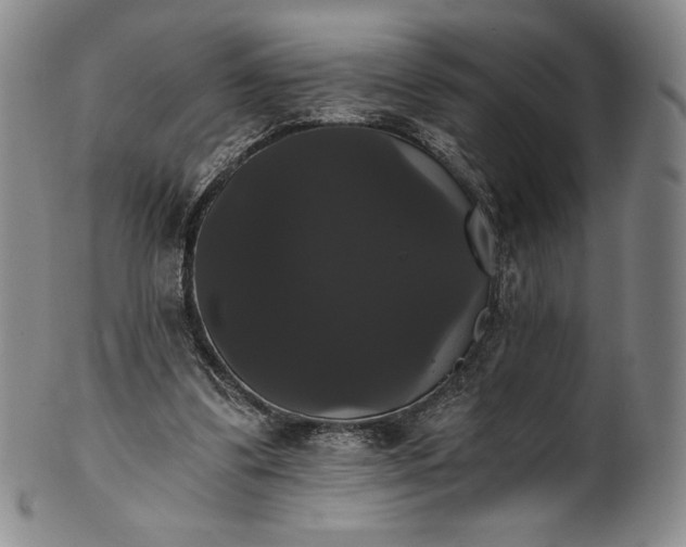 X0000102240299200808081442