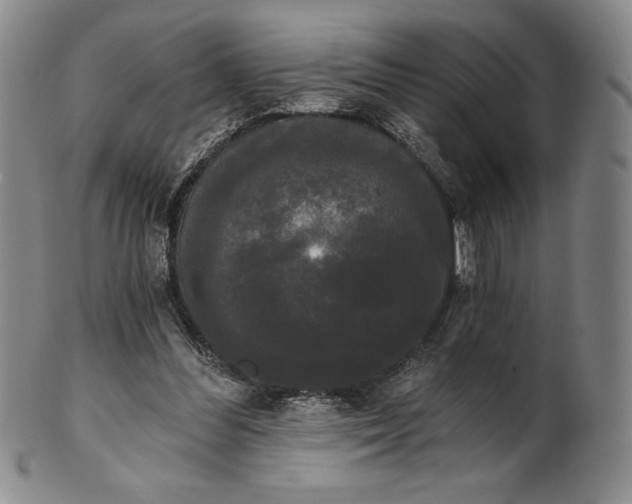 X0000102240300200808081442