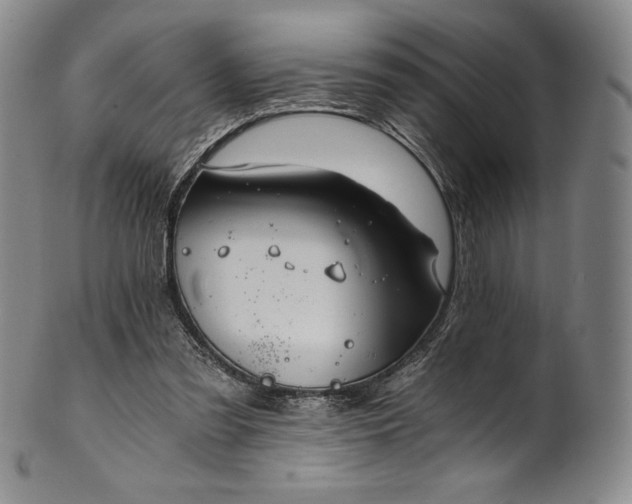 X0000102240301200808081442