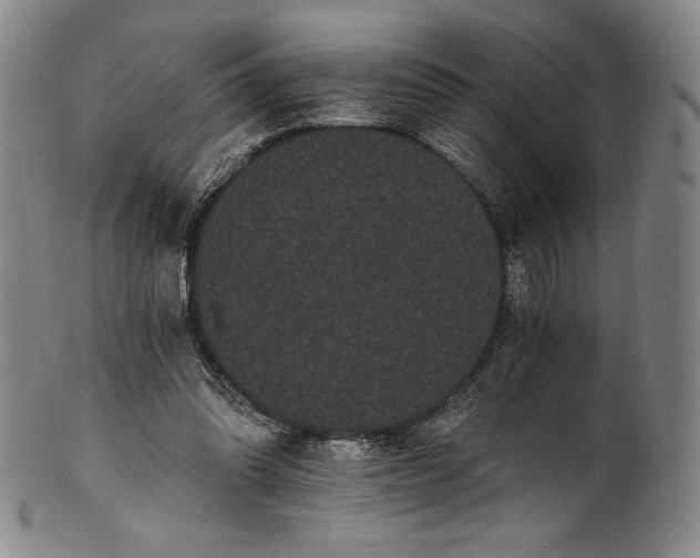 X0000102240302200808081442