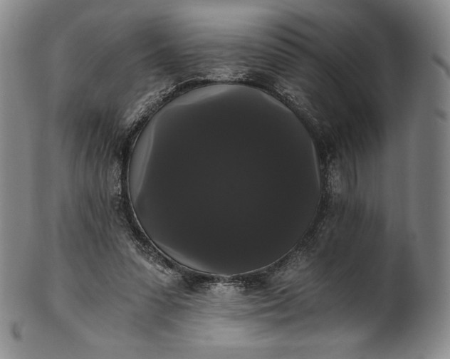 X0000102240303200808081442