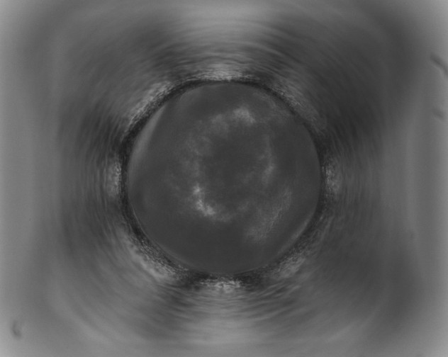 X0000102240304200808081442