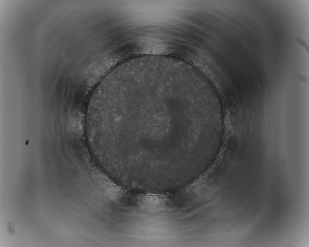 X0000102240305200808081442