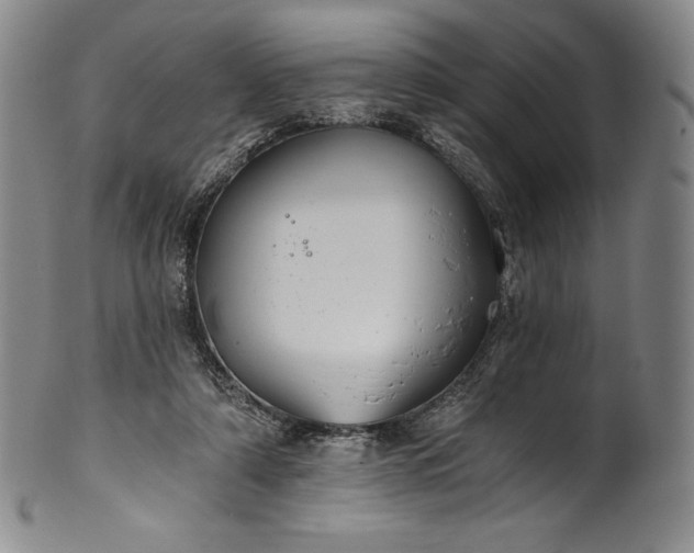 X0000102240306200808081442