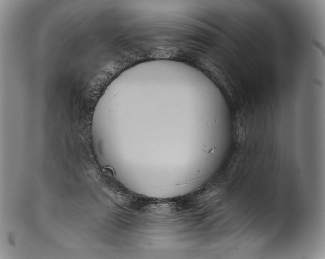 X0000102240307200808081442