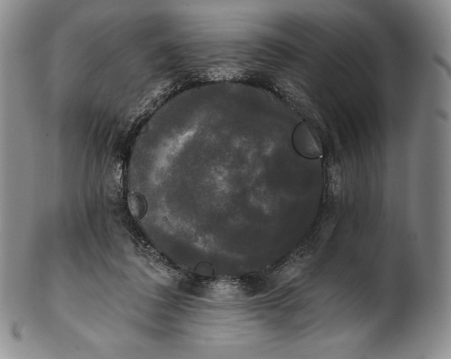 X0000102240308200808081442