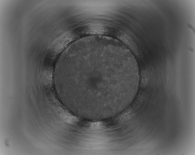 X0000102240309200808081442