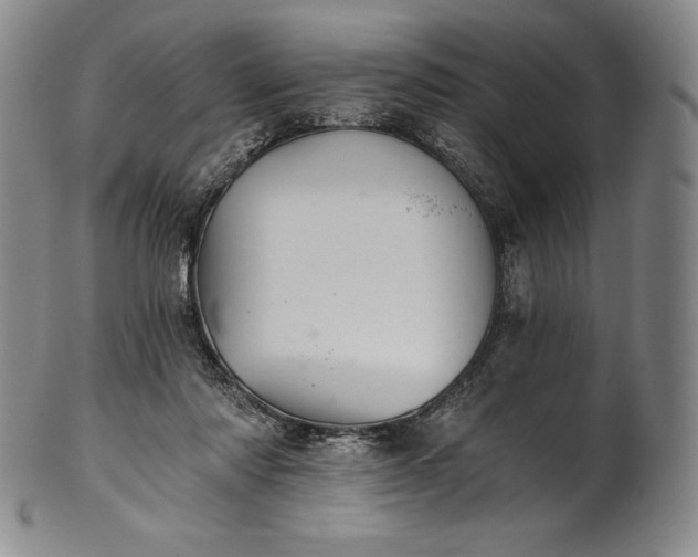 X0000102240310200808081442