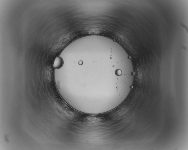 X0000102240311200808081442