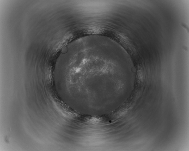 X0000102240312200808081442