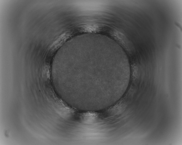 X0000102240313200808081442