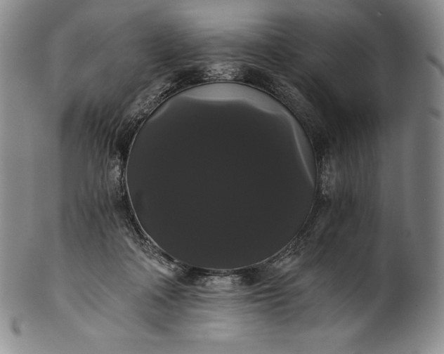 X0000102240314200808081442