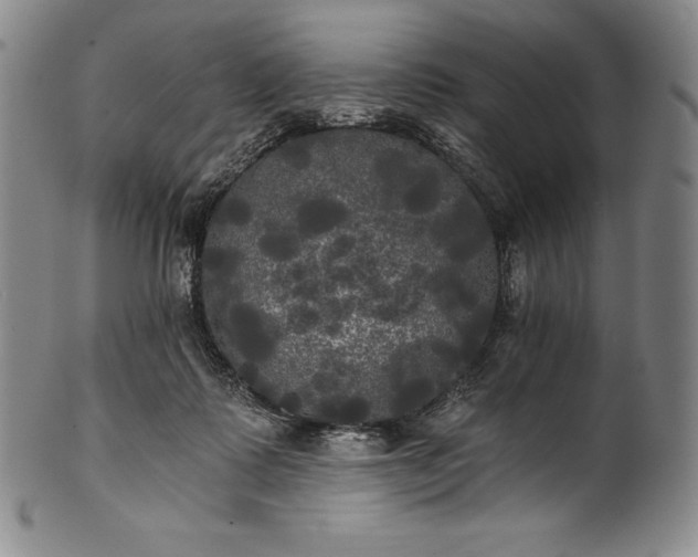 X0000102240315200808081442