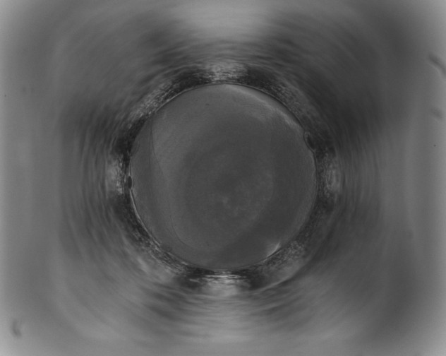 X0000102240316200808081442