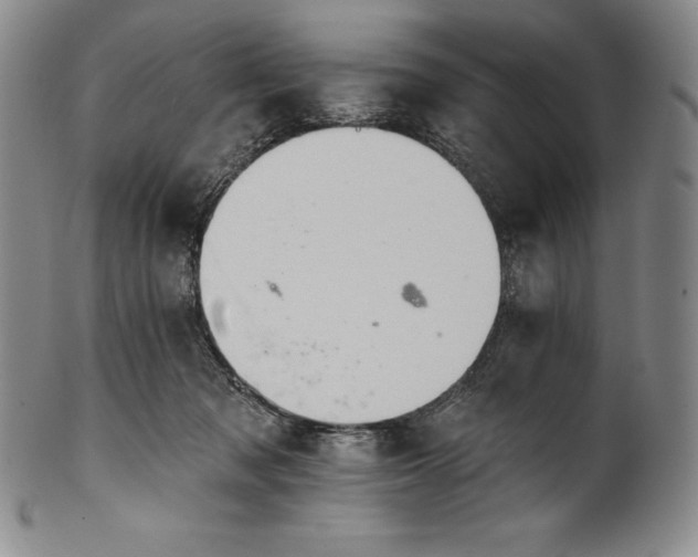 X0000102240317200808081442