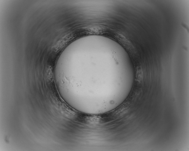 X0000102240318200808081442