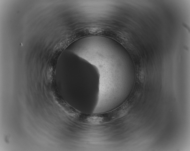 X0000102240319200808081442