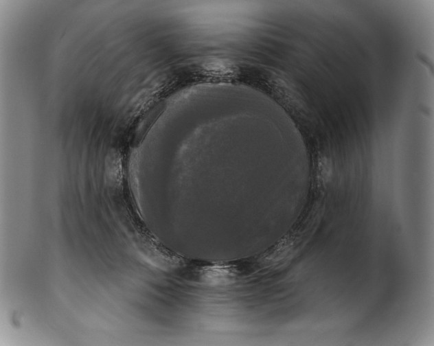 X0000102240320200808081442