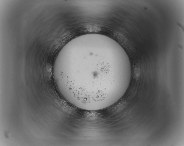 X0000102240321200808081442