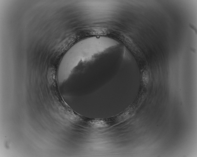 X0000102240322200808081442