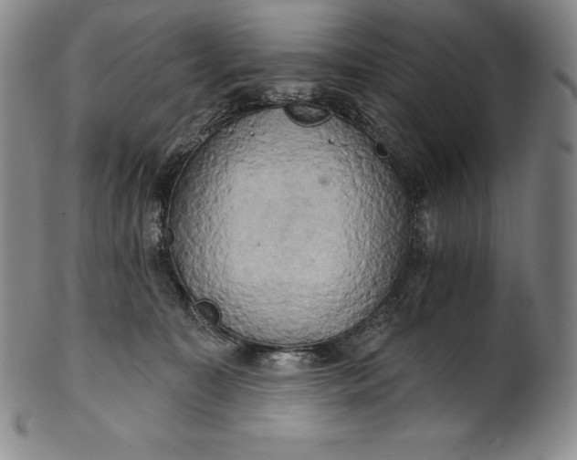 X0000102240323200808081442