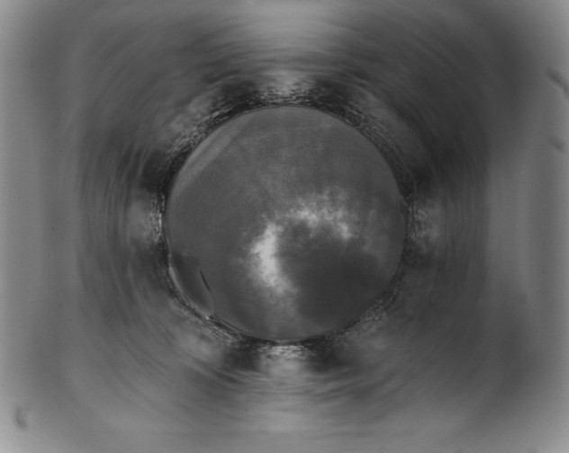 X0000102240324200808081442