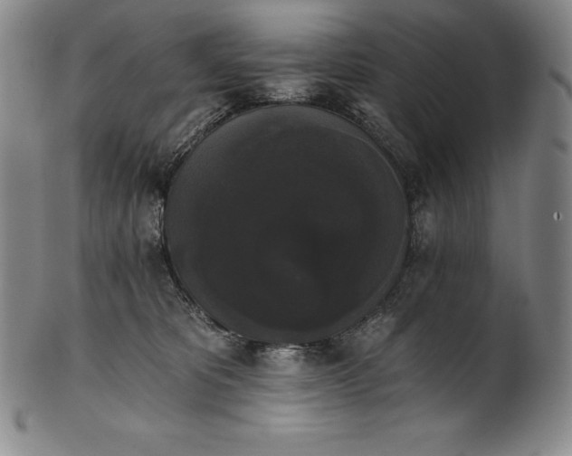 X0000102240325200808081442