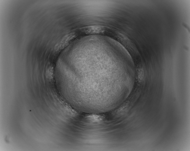 X0000102240326200808081442