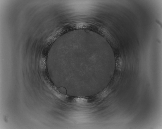 X0000102240327200808081442