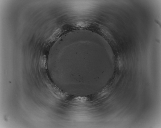 X0000102240328200808081442