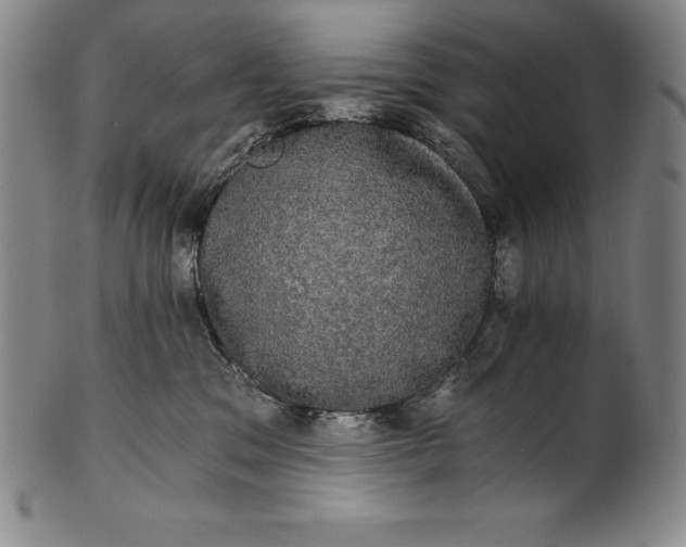 X0000102240329200808081442