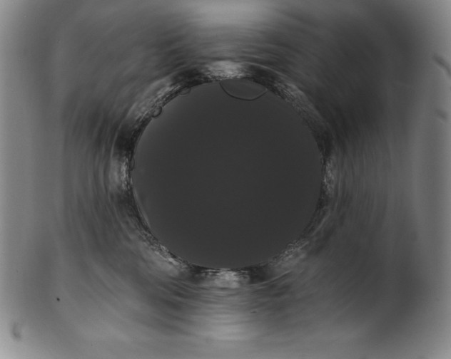 X0000102240330200808081442