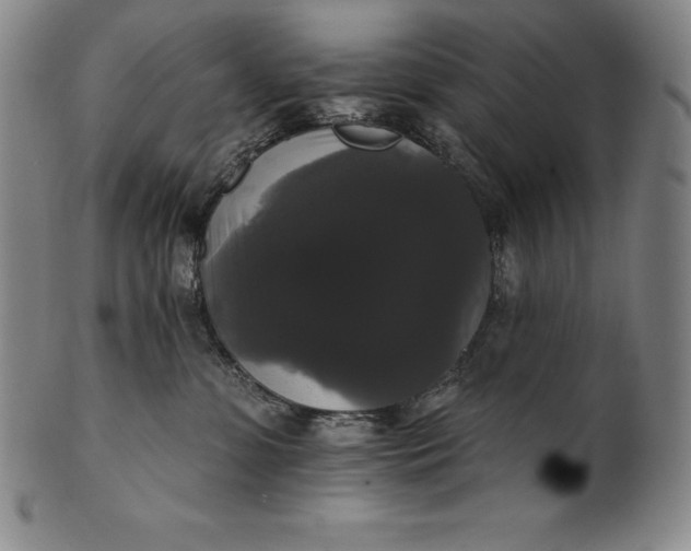 X0000102240331200808081442