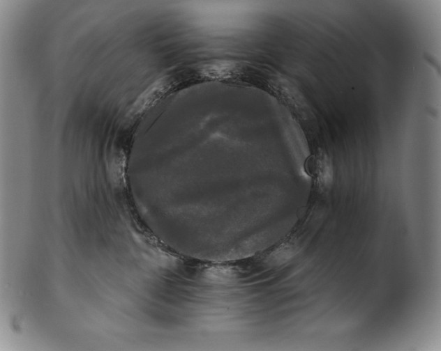 X0000102240332200808081442