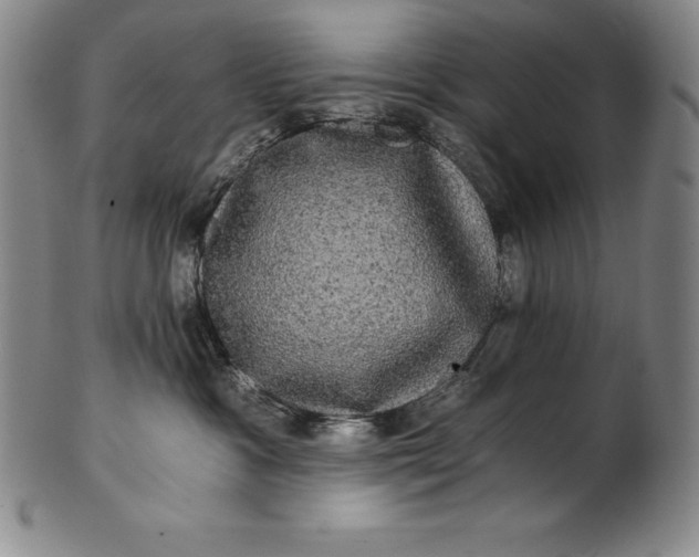 X0000102240333200808081442