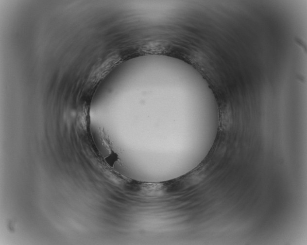 X0000102240334200808081442