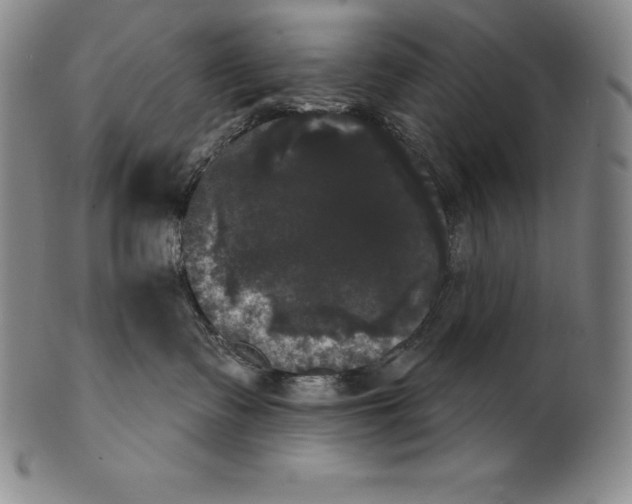 X0000102240335200808081442