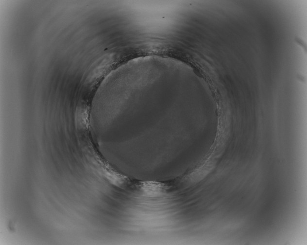 X0000102240336200808081442