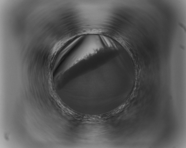 X0000102240337200808081441