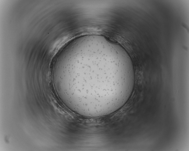 X0000102240338200808081441