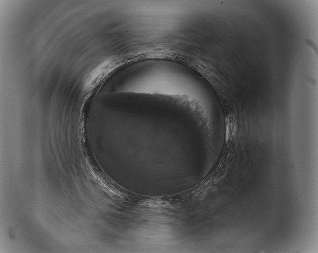 X0000102240339200808081441