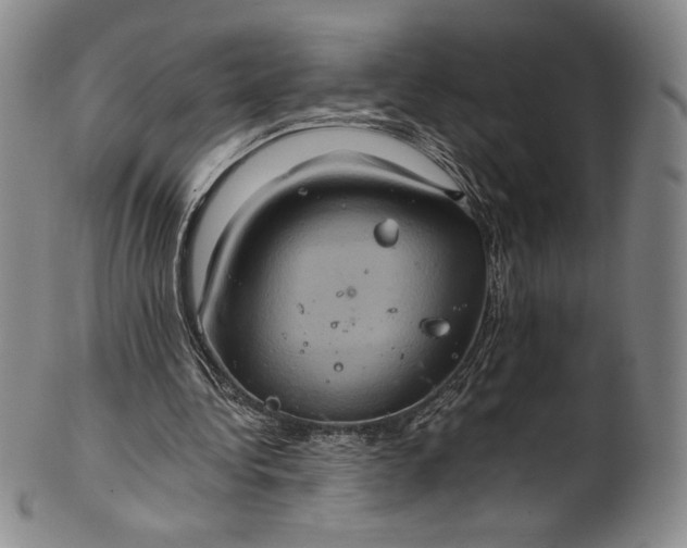 X0000102240340200808081441