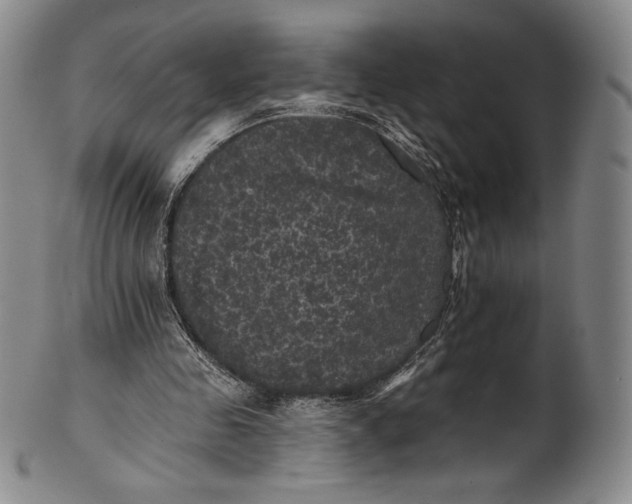 X0000102240341200808081441