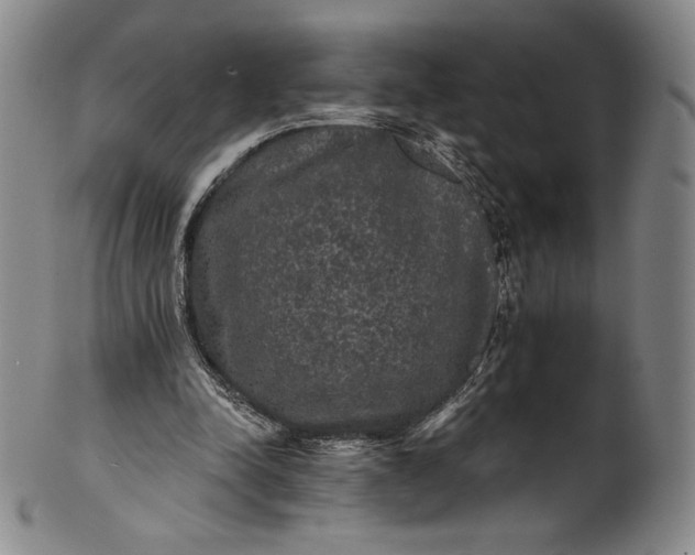 X0000102240342200808081441