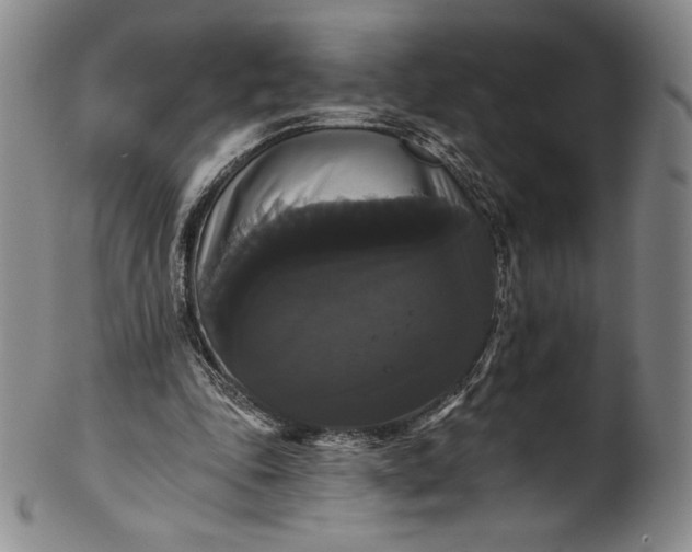 X0000102240343200808081441